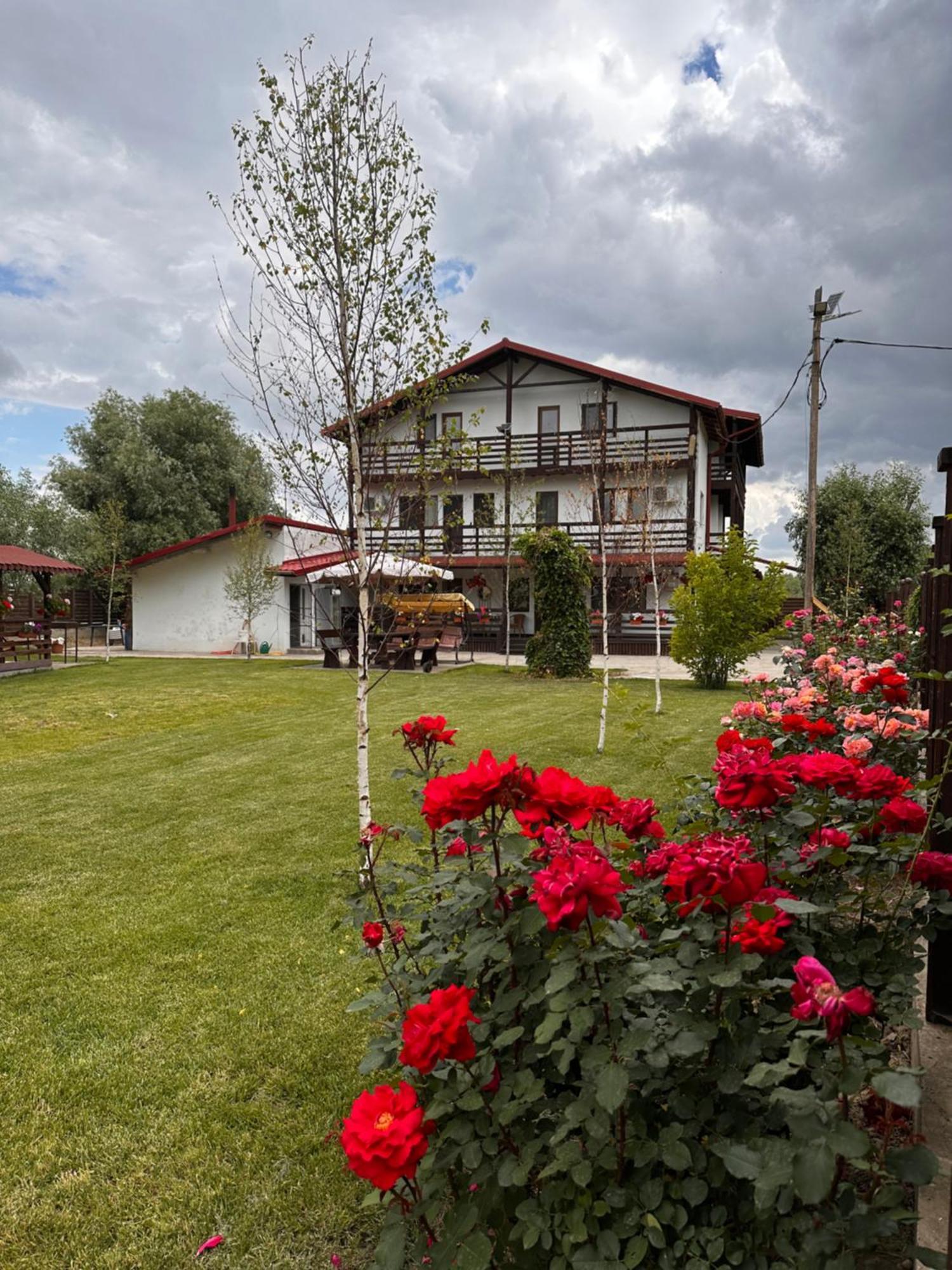 Casa Carp Calarasi Ξενοδοχείο Εξωτερικό φωτογραφία
